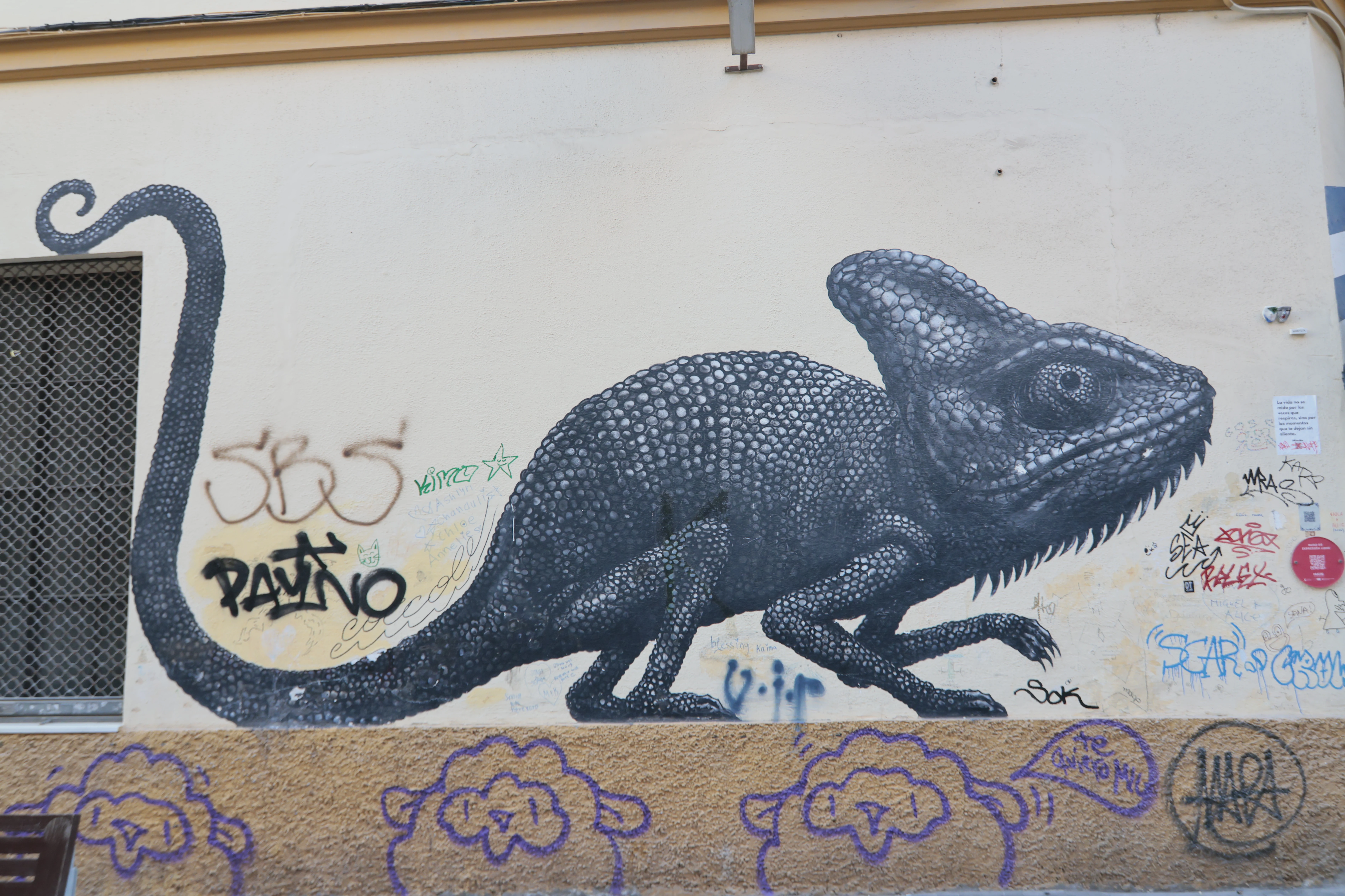 Tokina at-x 116 (EF) - _I4A2741.webp